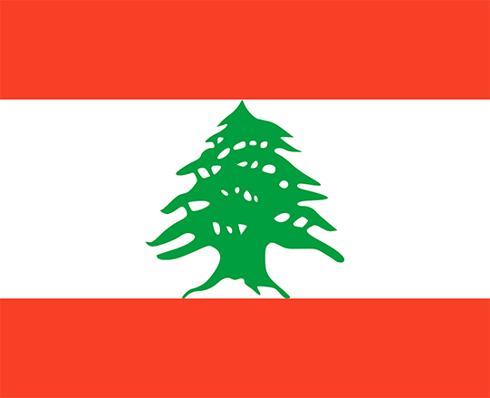 Supreme Court decision brings Lebanon a step closer to decriminalising consensual same-sex sexual conduct