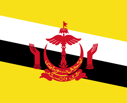 Human Dignity Trust condemns Brunei’s brutal new Islamic Penal Code