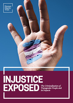 250px x 353px - HDT - Injustice Exposed - The Criminalisation of Transgender People and its  Impacts