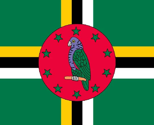Human Dignity Trust applauds court decision in Dominica striking down laws that criminalised same-sex intimacy